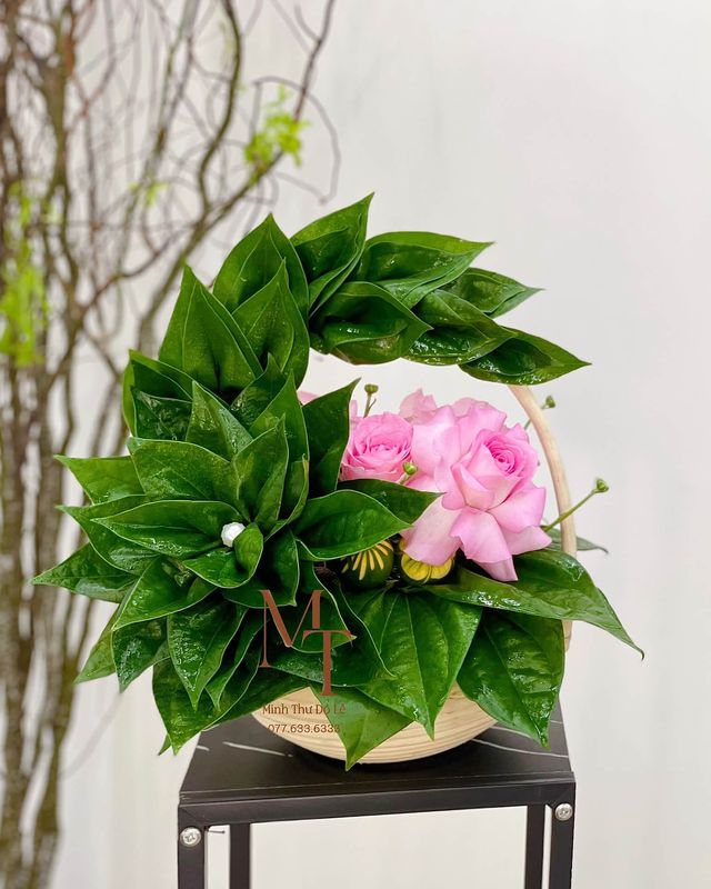 Giỏ trầu best seller của shop – Minh Thư Đồ Lễ Đà Nẵng