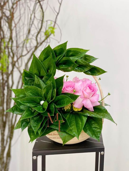 Giỏ trầu cau Minh Thư Đồ Lễ