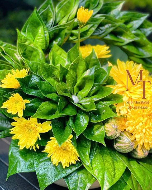 Set lễ trầu cau mix hoa cúc thắp hương – Minh Thư Đồ Lễ Đà Nẵng