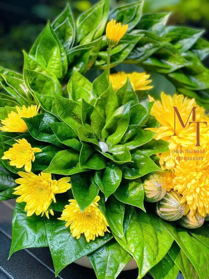 Set lễ trầu cau mix hoa cúc thắp hương – Minh Thư Đồ Lễ Đà Nẵng