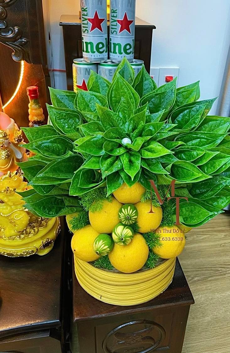 Lễ chanh vàng – Minh Thư Đồ Lễ Đà Nẵng